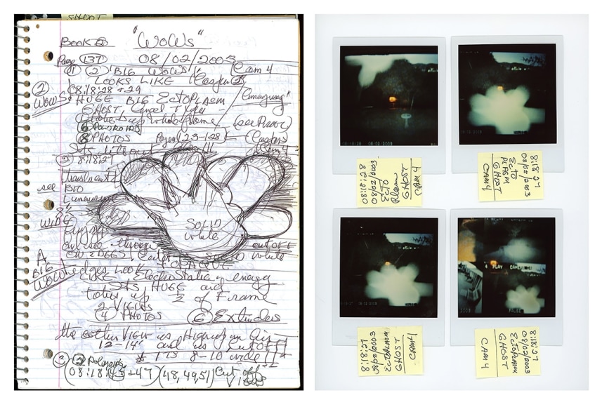 Kali, Ectoplasm Ghost Diptych