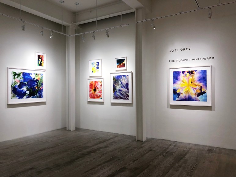 Joel Grey, Exhibition View