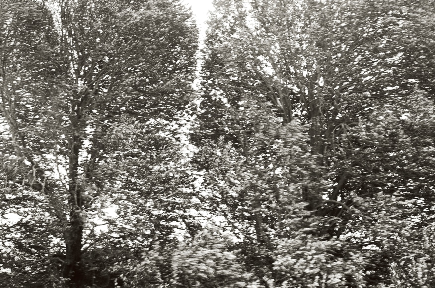 Priscilla Rattazzi, Hurricane Irene I, East Hampton 2011