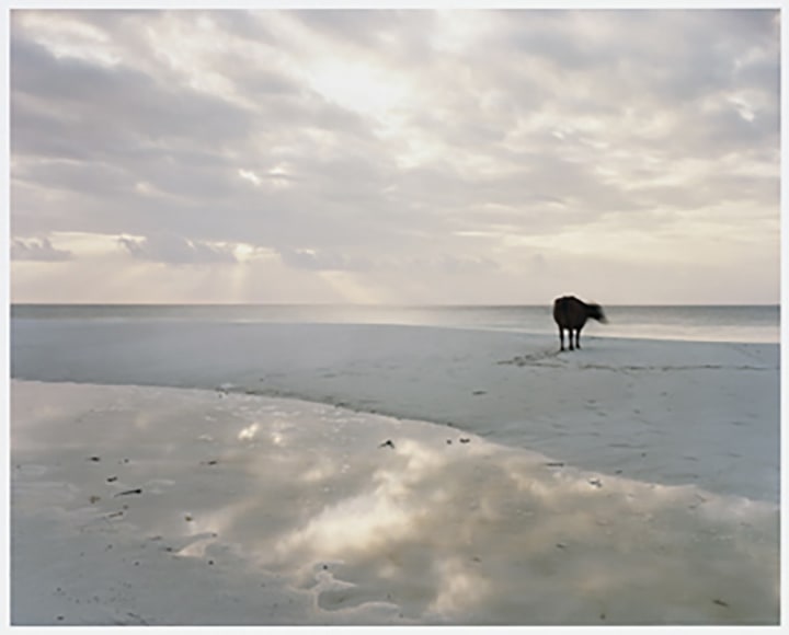 Anders Krisar, Chord N.8