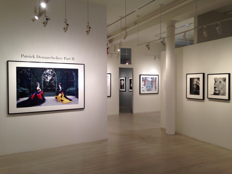 Patrick Demarchelier, Exhibition View