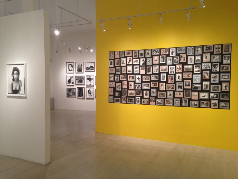 Arthur Elgort, Exhibition View