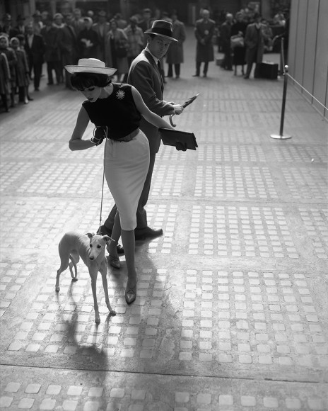 William Helburn, Simone with Whippet, circa 1959