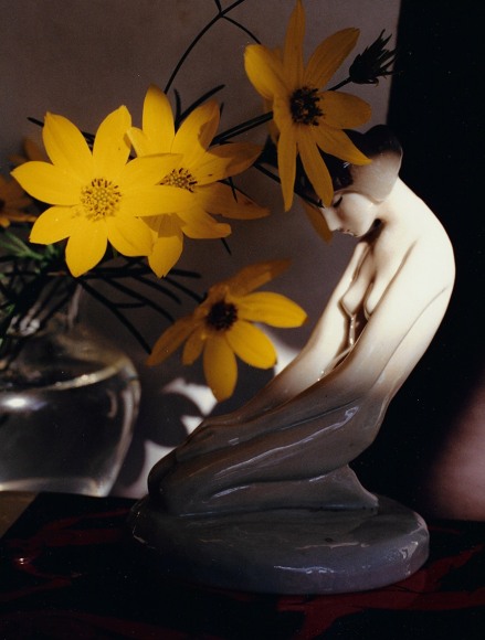 Horst, Coreopsis