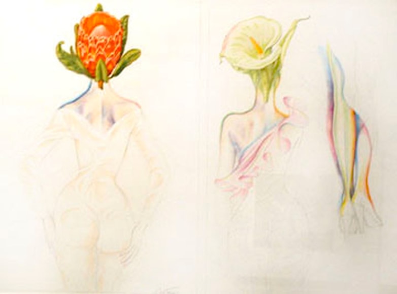 Antonio, Flower Heads, 1981