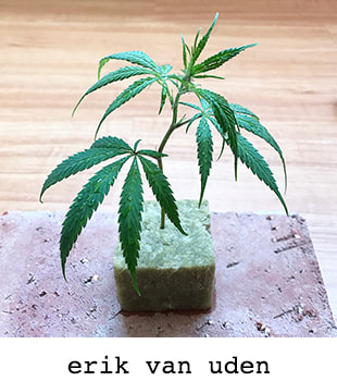 Salon du Dessin Contemporain 2009