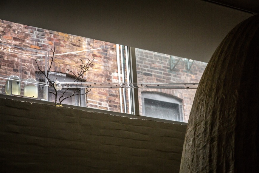 terence koh: bee chapel