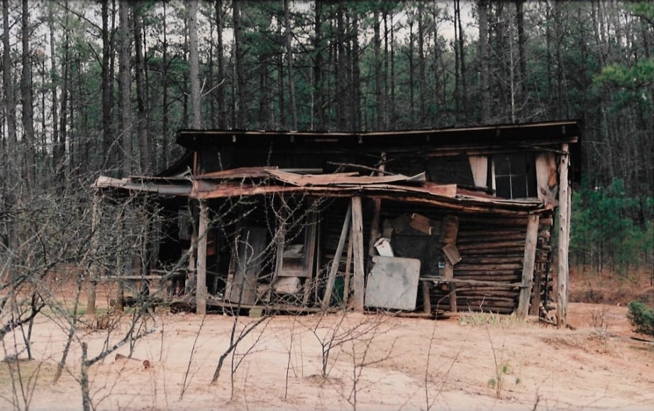 Beverly Buchanan (1940 - 2015)