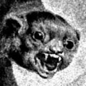 Salon du Dessin Contemporain 2009