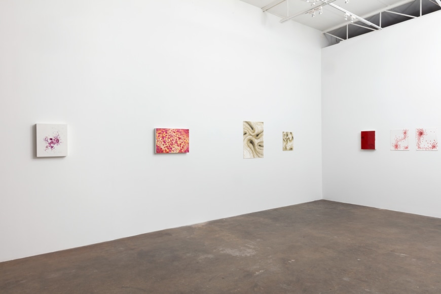 Becca Booker |&nbsp;Microscopic, January 9&nbsp;- February 13, 2021