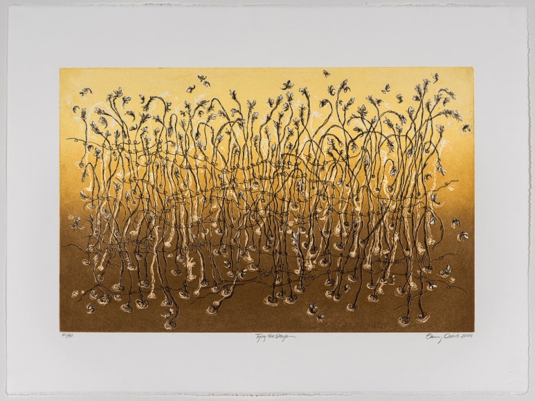 Sherry Owens, Tying the Days, 2024