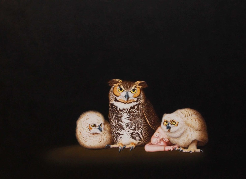 Isabelle du Toit, Surrogacy, 2013