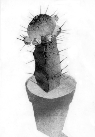 Cris-Worley-Fine-Arts-Gallery-Dallas-Texas-Dan-Jian