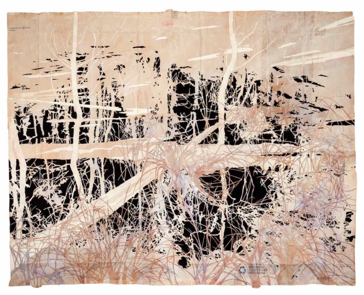 Maysey Craddock, The Land is Already Shadow, 2014