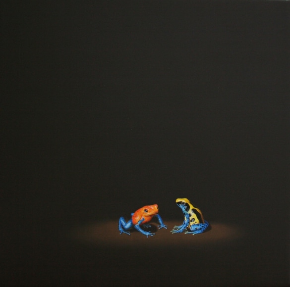 Isabelle du Toit, Poison Darts, 2012