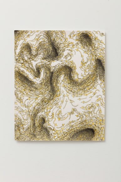 Becca Booker, Yellow Arrows - Shallow Eddies, 2016