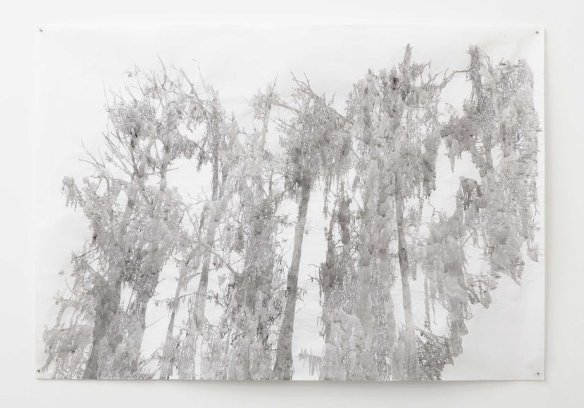 Cris-Worley-Fine-Arts-Gallery-Dallas-Texas-Anne-Allen