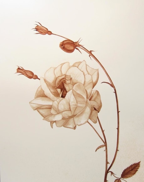 Celia Eberle, Lost, 2014