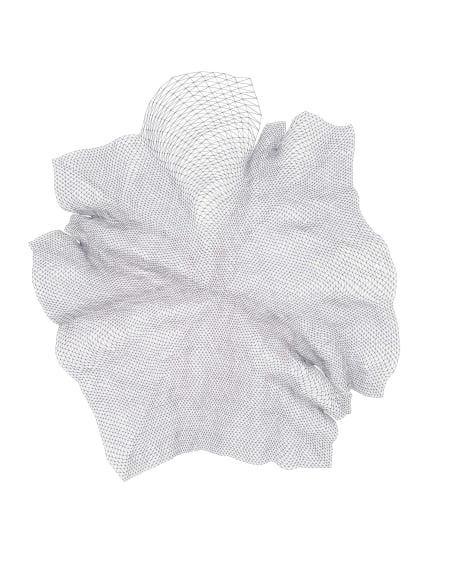 Robert Lansden, To Hold You in My Mind #1, 2015