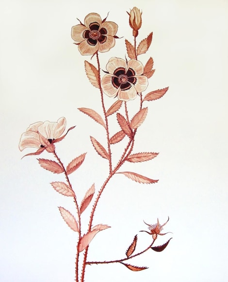 Celia Eberle, Briar, 2014