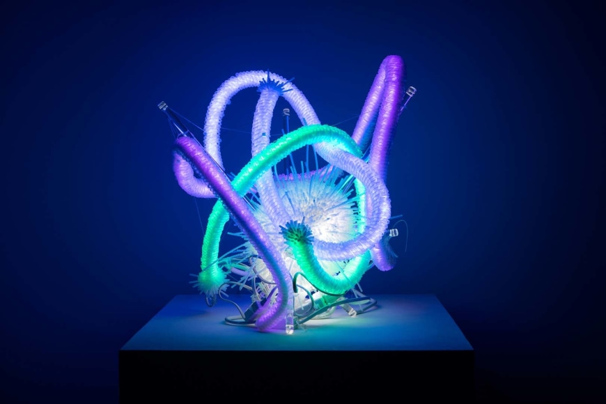 Cris-Worley-Fine-Arts-Gallery-Dallas-Texas-Adela-Andea