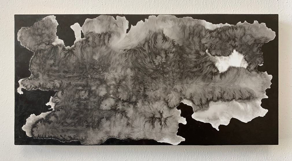 Nishiki Sugawara-Beda, KuroKuroShiro XIV, 2020