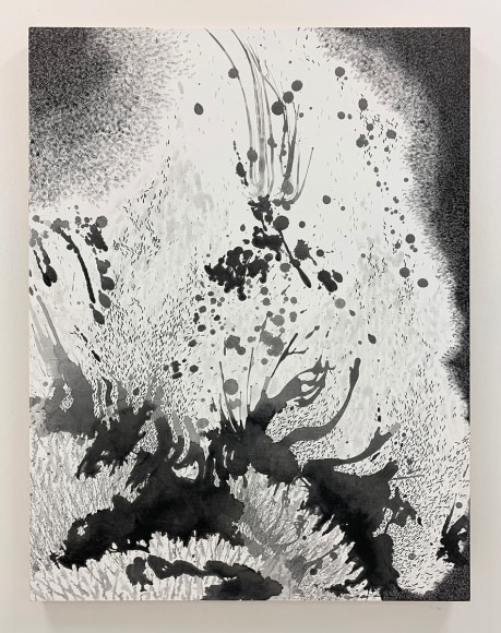 Nishiki Sugawara-Beda, KuroKuroShiro The F, 2022