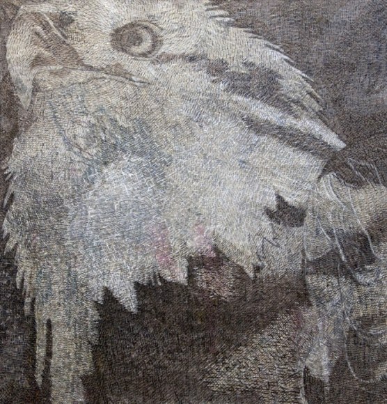 Francisco Moreno&nbsp;&nbsp;, Eagle, 2012