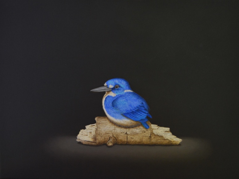 Cris-Worley-Fine-Arts-Gallery-Dallas-Texas-Isabelle-du-Toit