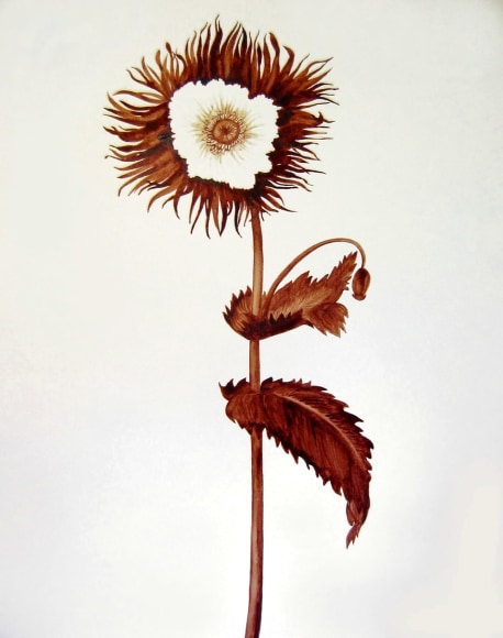 Celia Eberle, Obsession, 2014