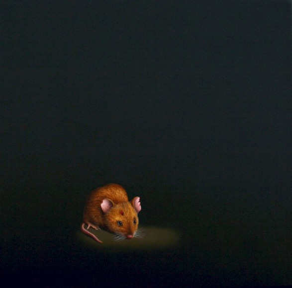 Cris-Worley-Fine-Arts-Gallery-Dallas-Texas-Isabelle-du-Toit