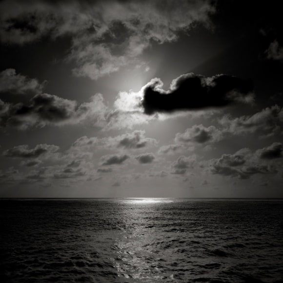 Cris-Worley-Fine-Arts-Gallery-Dallas-Texas-David-Fokos