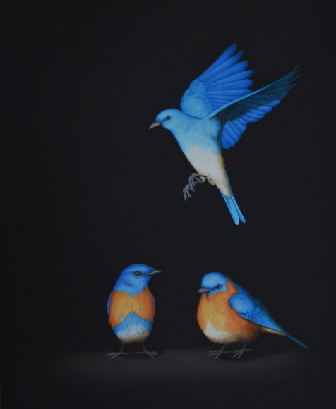 Isabelle du Toit, Three Blues, 2020