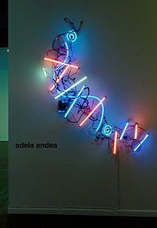 Adela Andea | E=hv, April 2 - May 14, 2011