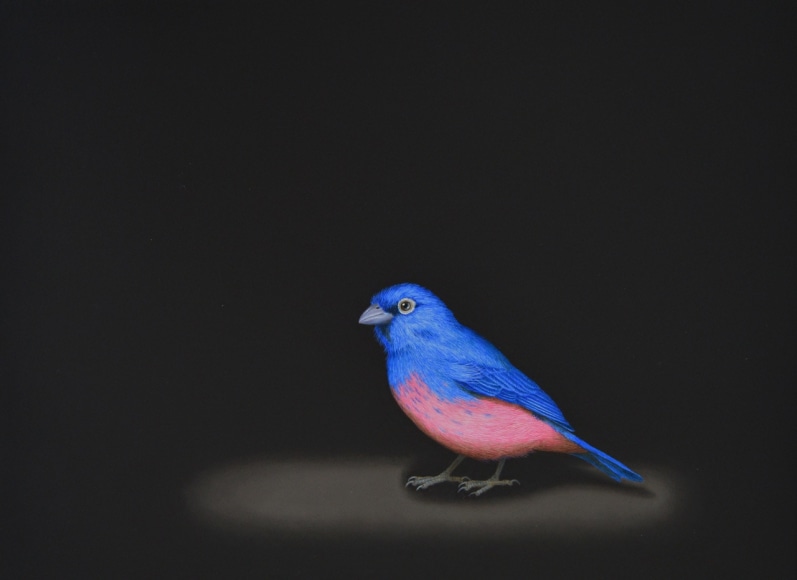 Cris-Worley-Fine-Arts-Gallery-Dallas-Texas-Isabelle-du-Toit