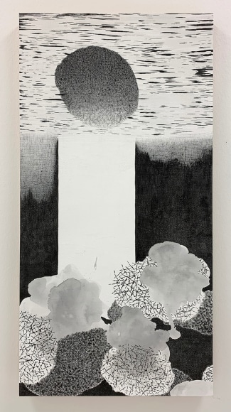 Nishiki Sugawara-Beda, KuroKuroShiro T+S IV, 2022