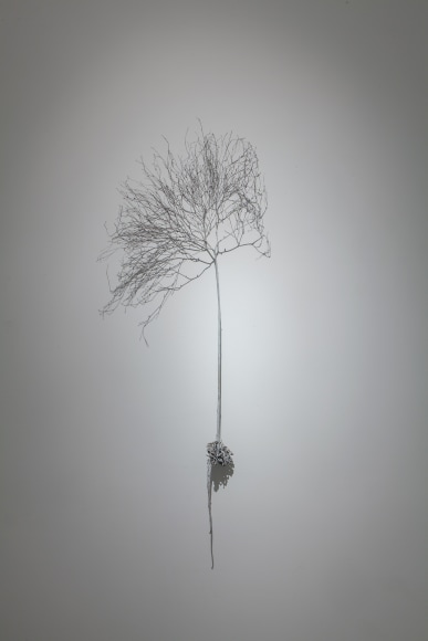 Harry Geffert (1934-2017), Dandelion, 2002