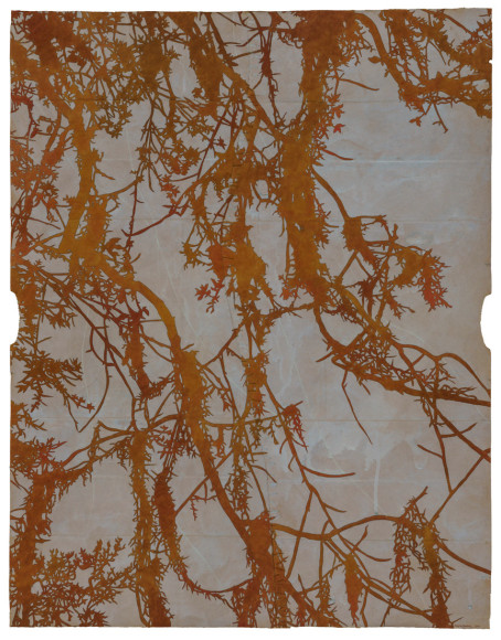 Cris-Worley-Fine-Arts-Gallery-Dallas-Texas-Maysey-Craddock