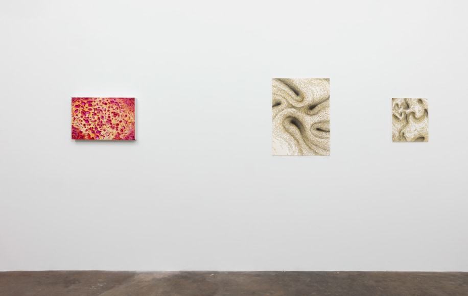 Becca Booker |&nbsp;Microscopic, January 9&nbsp;- February 13, 2021