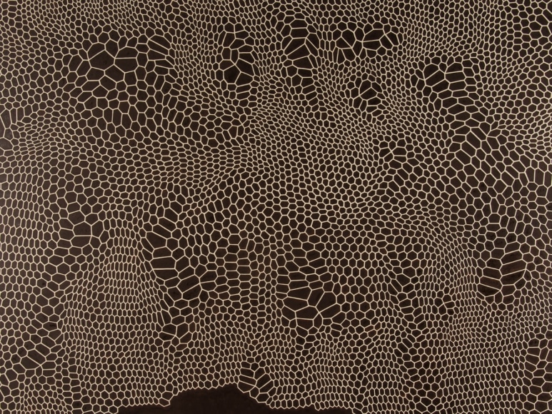 Paul Manes, Harem, 2016