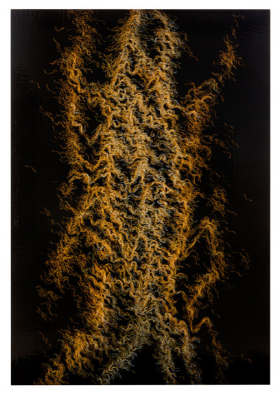 Cris-Worley-Fine-Arts-Gallery-Dallas-Texas-Becca-Booker