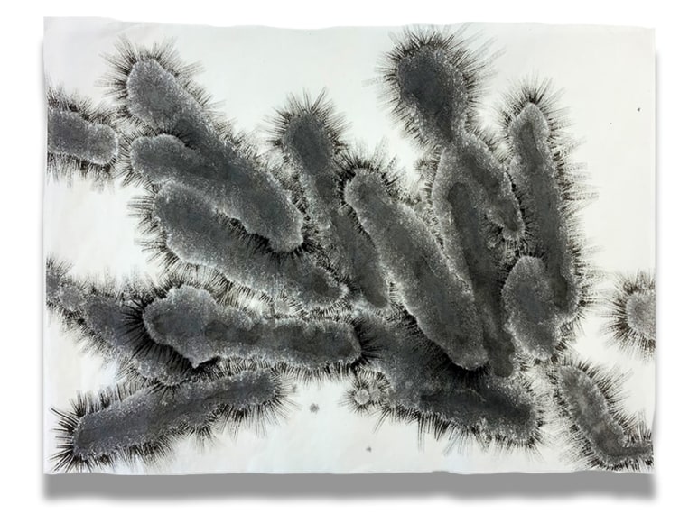 Cris-Worley-Fine-Arts-Gallery-Dallas-Texas-Nishiki-Sugawara-Beda