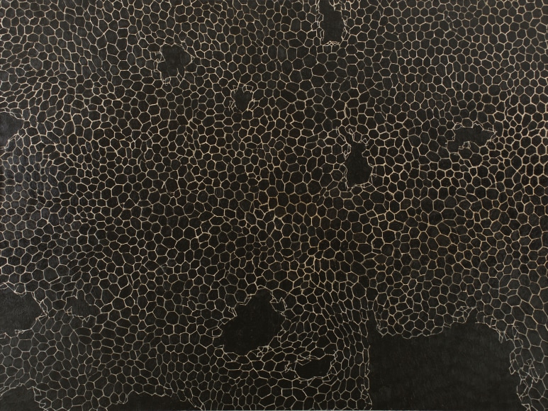 Paul Manes, Heider&#039;s Balance, 2014