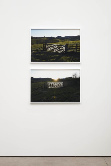 Andy Goldsworthy, Recent Works 2020, 2020