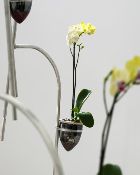 Jeffrey Meris, be ever wonderful, 2022., Installation view.