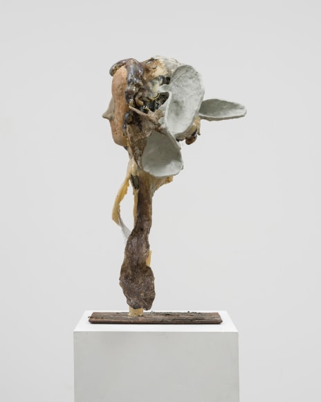 KLOSKLAS_Ovo_Midiv_Dak_Et_Madelg_(Oenopion), 2021, Detail