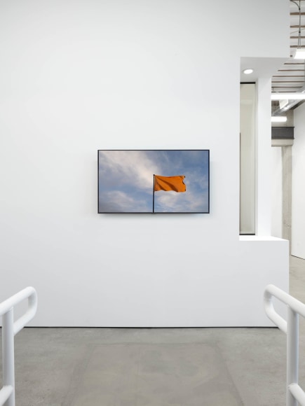 Andy Goldsworthy, Recent Works 2020, 2020