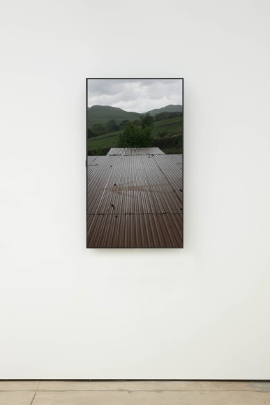 Andy Goldsworthy, Recent Works 2020, 2020