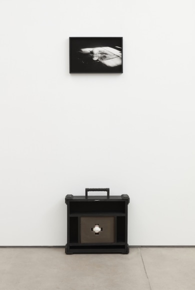 The Charlie Hustle, 2019, Verso