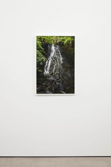 Andy Goldsworthy, Recent Works 2020, 2020